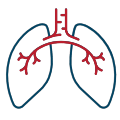 Asthma, COPD, bronchitis & pneumonia